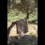 Rankšluostis pagamintas iš 50 % medvilnės ir 50 % modalo